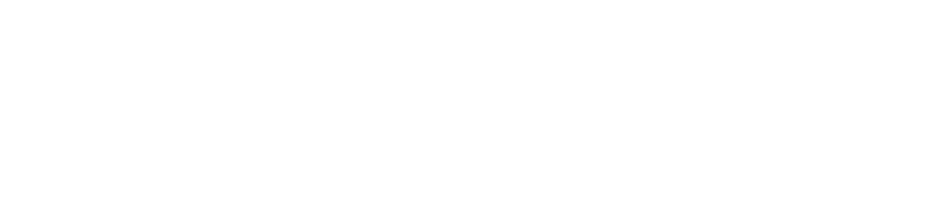 הבית הדמוקרטי הישראלי